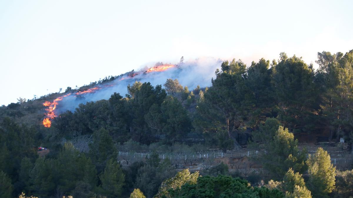 Un incendi crema una zona boscosa a la Selva del Camp.