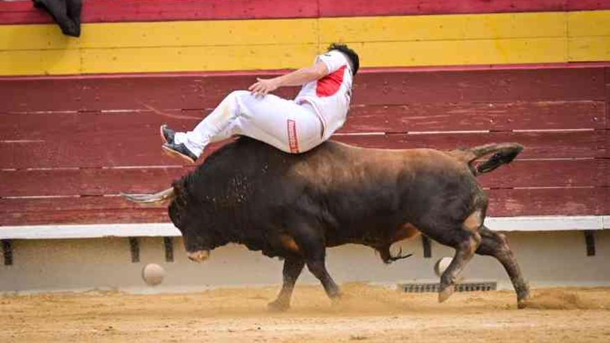 Así ha sido el Concurso Nacional de Recortadores de Castellón