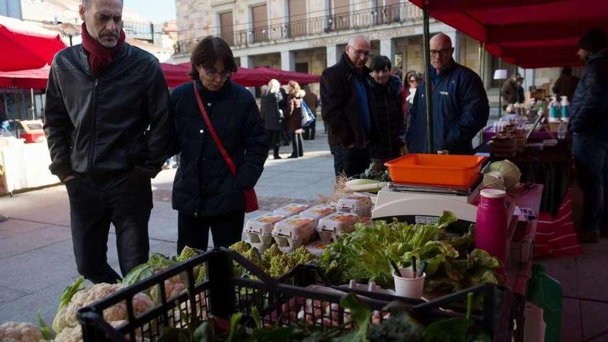 Buena acogida ciudadana a la nueva ubicación del mercado ecológico