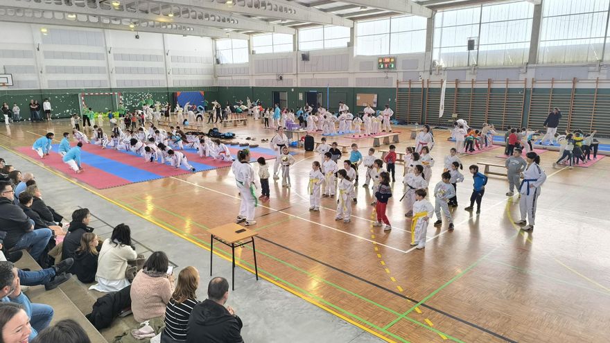 El Sares TKD celebra su fiesta navideña con 180 deportistas