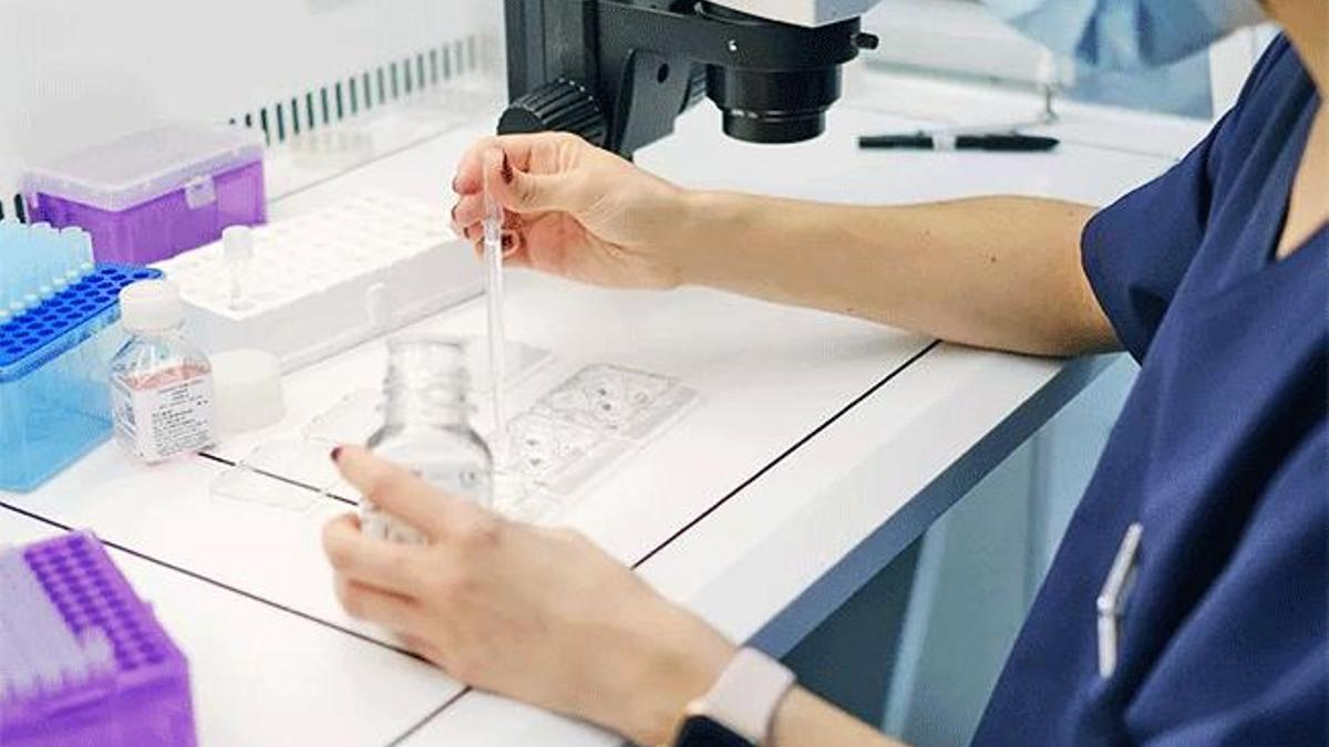 IVF-Life destaca en el sector de las clínicas de reproducción asistida.