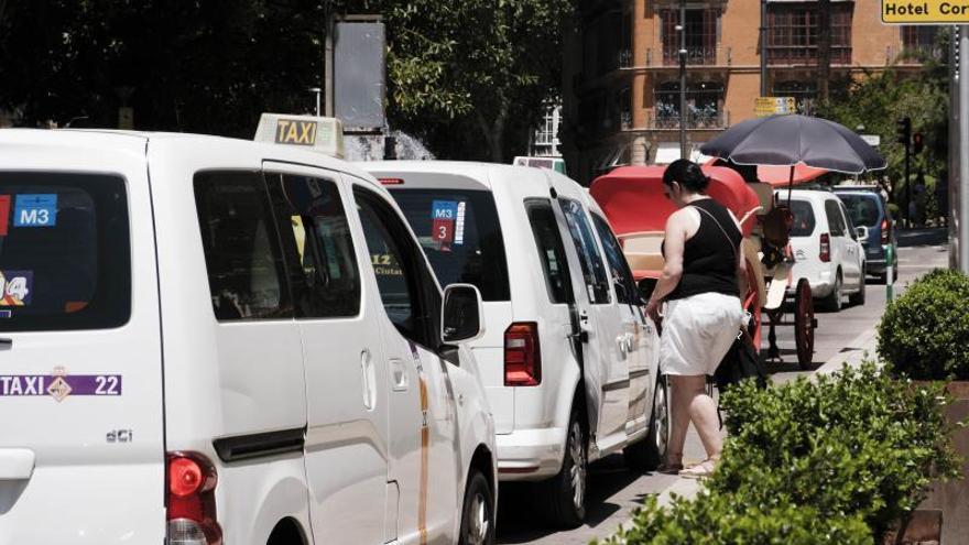 Ayuntamiento de Palma prorroga las licencias temporales de taxis hasta el  31 de octubre