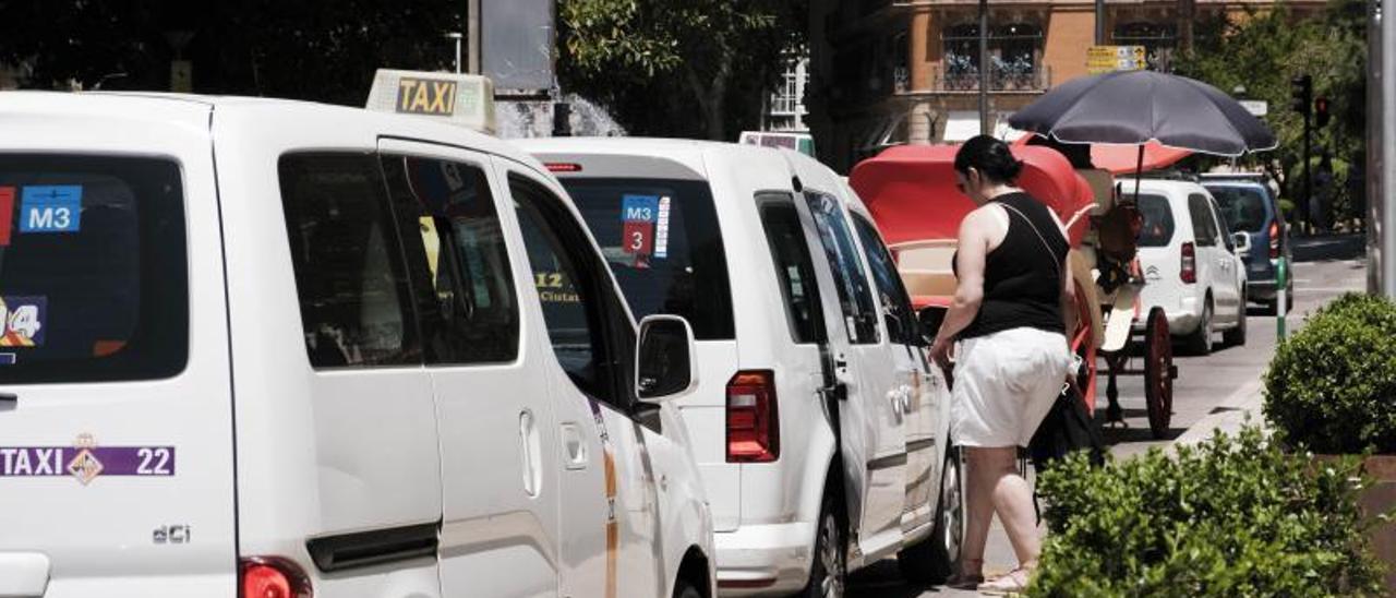 El Govern aprobó ayer el decreto ley que agiliza la concesión de licencias temporales de taxis. | M. PEDRAZ