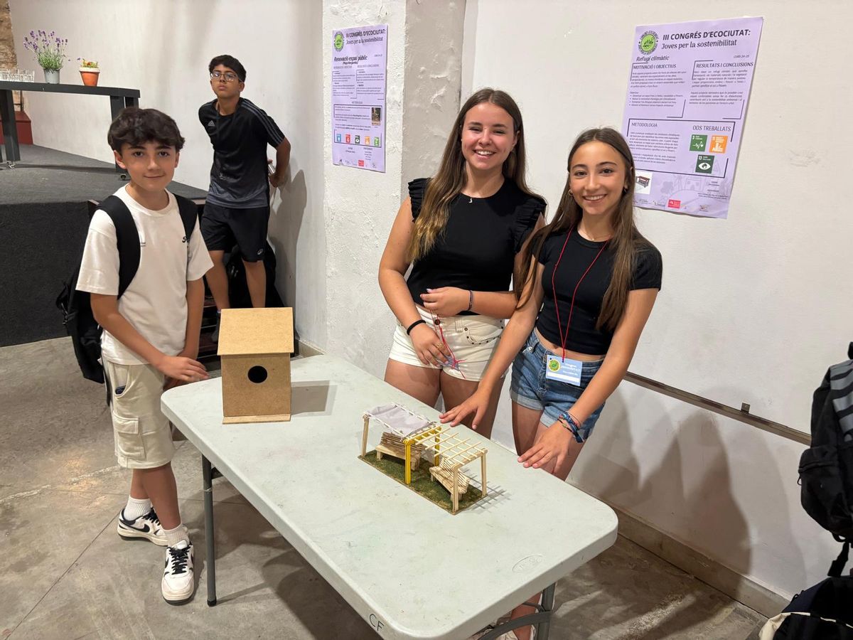 La maqueta del treball de Marta Sánchez, Júlia Roy, Roc Argemí, Raúl Adrián, Brian Morera i Salvador Casado