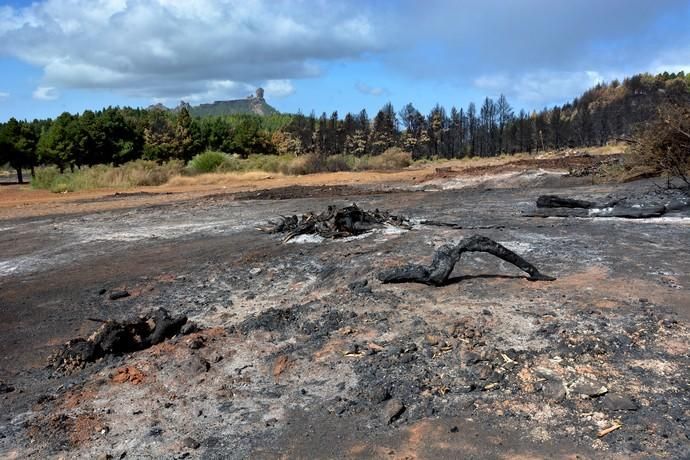 INCENDIO CUMBRE