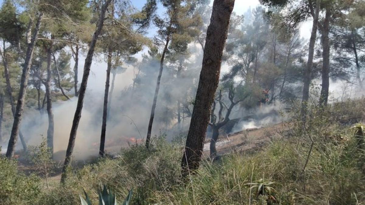 El incendio declarado esta tarde en las proximidades de s'Horta.