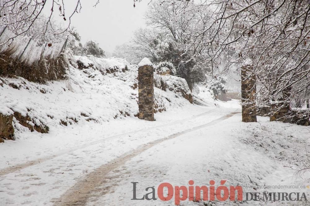 Nieve en las Fuentes del Marqués de Caravaca