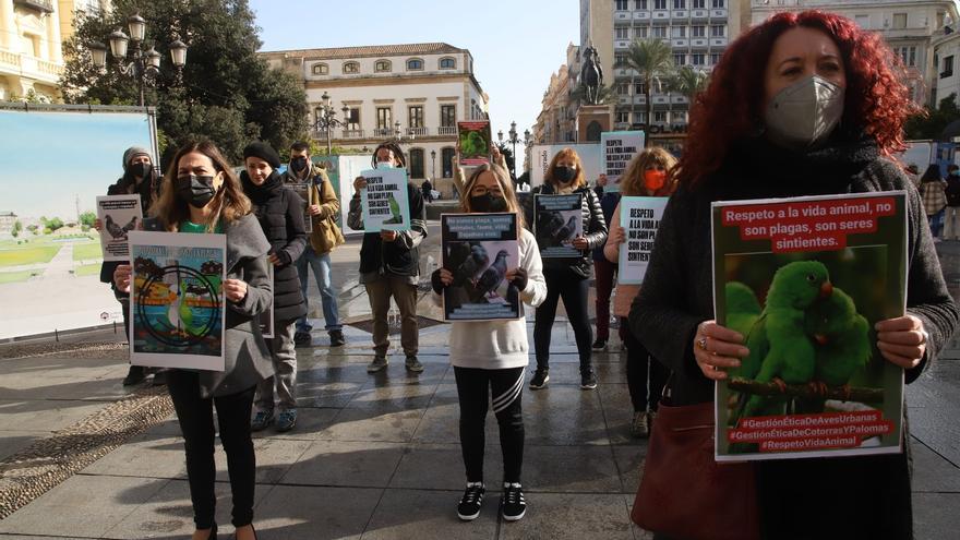 Colectivos animalistas exigen un control ético de la población de palomas en Córdoba