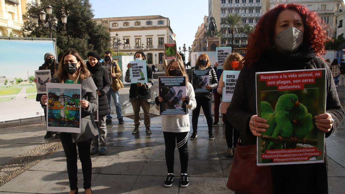 Concentración en Las Tendillas por el control ético de las aves urbanas.