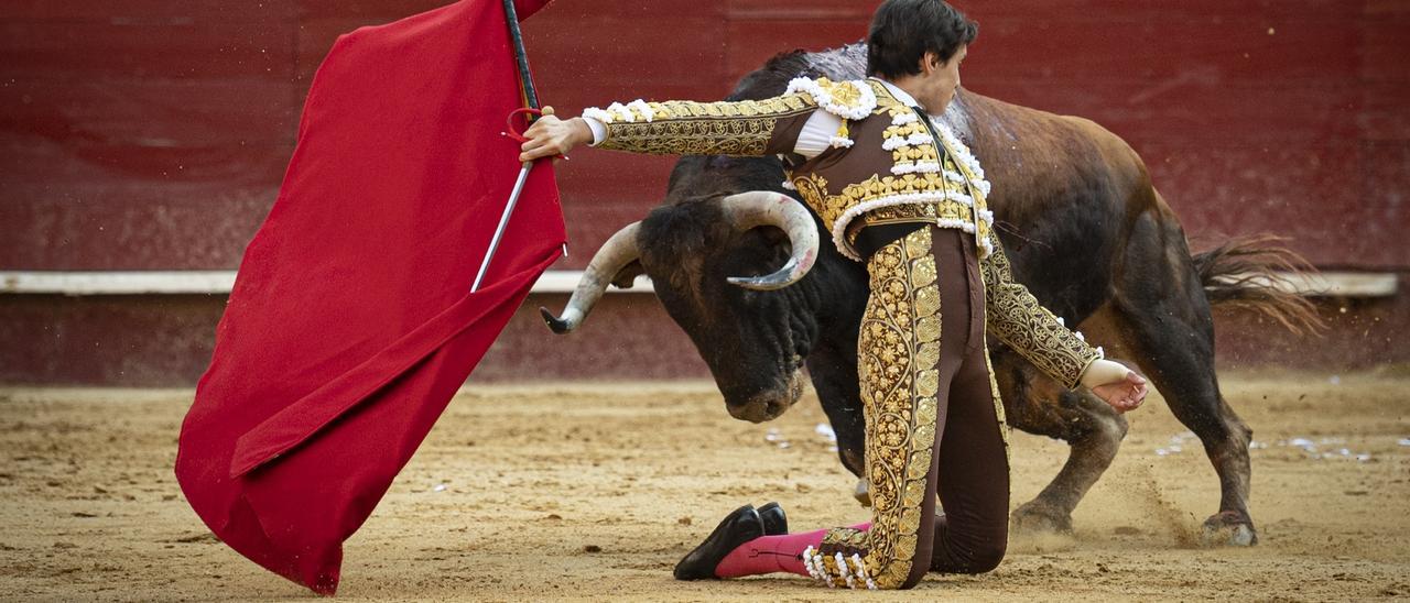 Andrés Roca Rey recibe de rodillas a &quot;Jungla&quot; de Victoriano del Río, el mejor toro de la Feria de Julio