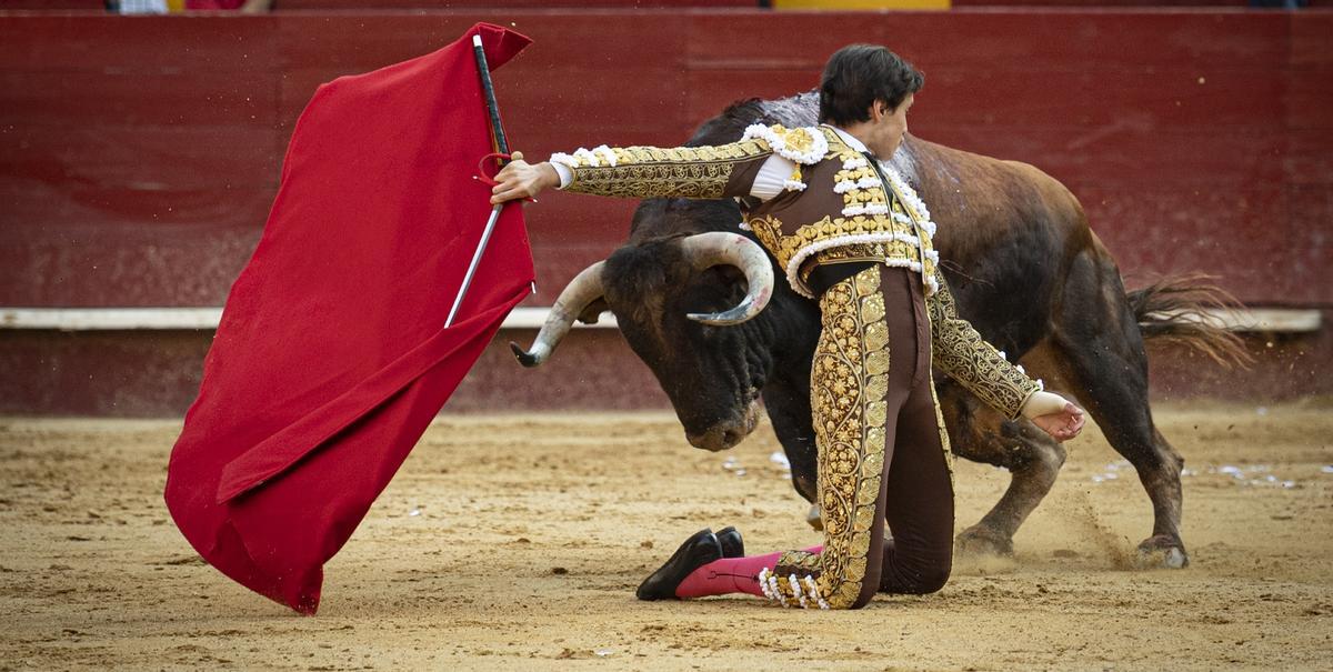 Andrés Roca Rey recibe de rodillas a &quot;Jungla&quot; de Victoriano del Río, el mejor toro de la Feria de Julio