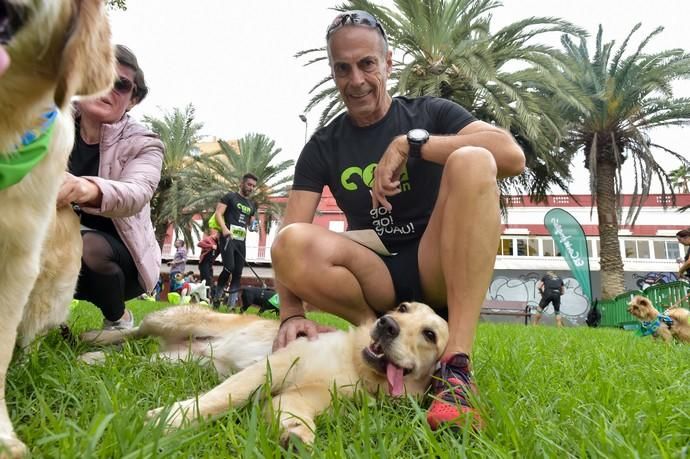 14-12-2019 LAS PALMAS DE GRAN CANARIA. Carrera de perros Can We Run, en el Parque Romano. Fotógrafo: ANDRES CRUZ  | 14/12/2019 | Fotógrafo: Andrés Cruz