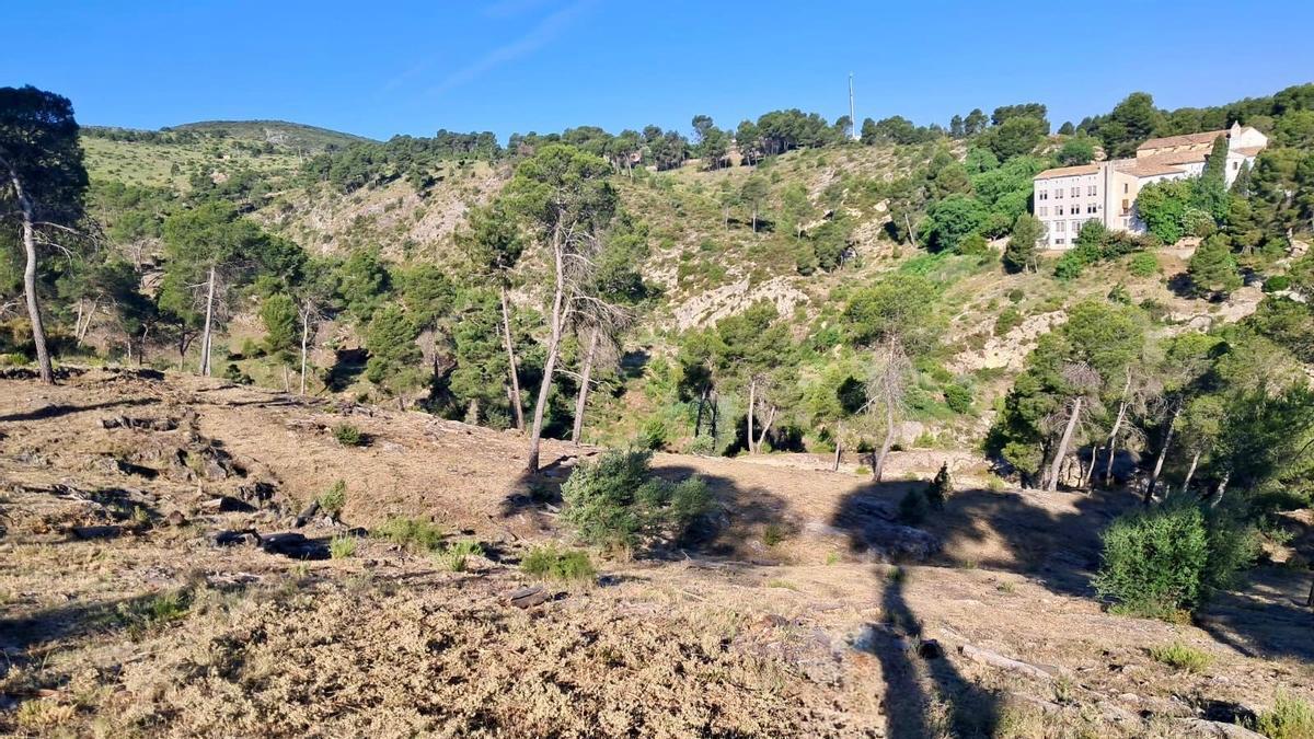 Paraje de Agullent donde se han realizado trabajos de refuerzo de la gestión forestal y la prevención de incendios.