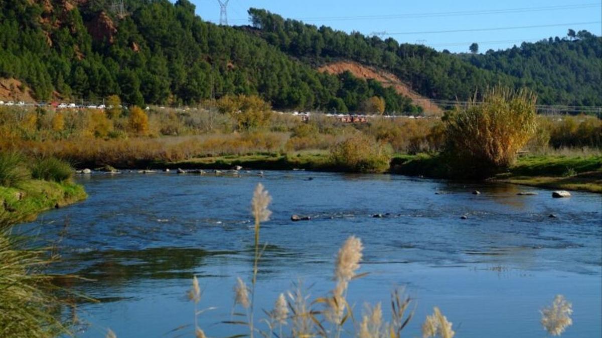 Alerta por sequía en 135 municipios del Anoia-Gaià, el Ter y el Llobregat