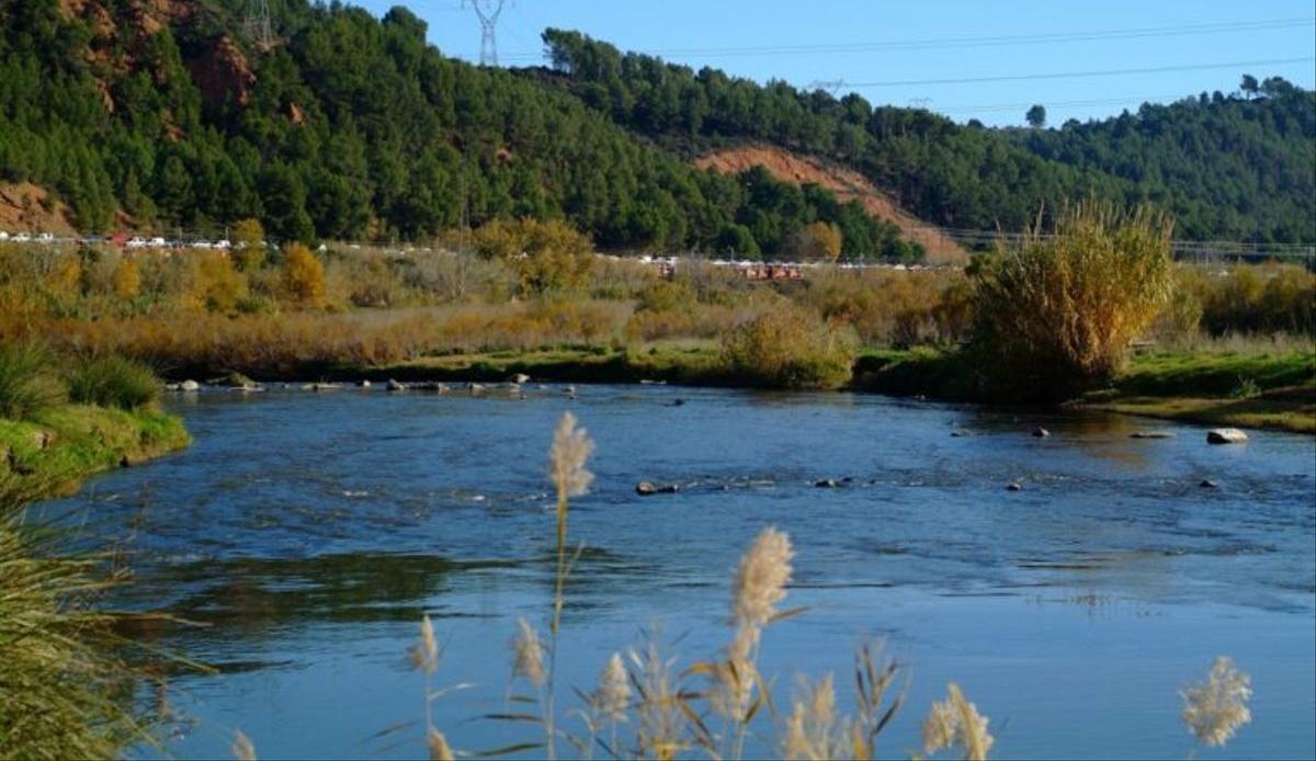 L’AMB culmina la recuperació socioambiental del riu Llobregat L’AMB culmina la recuperació socioambiental del riu Llobregat