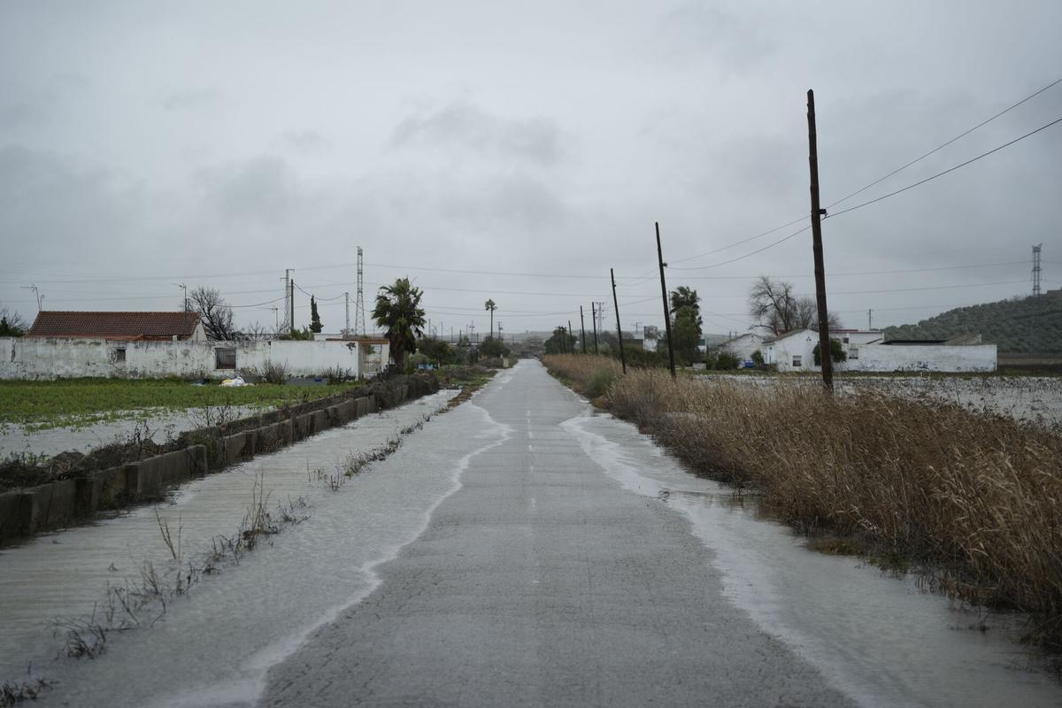 Embalsamiento de la carretera de acceso a la localidad sevillana del Palmar de Troya provocado por la borrasca Leonardo.