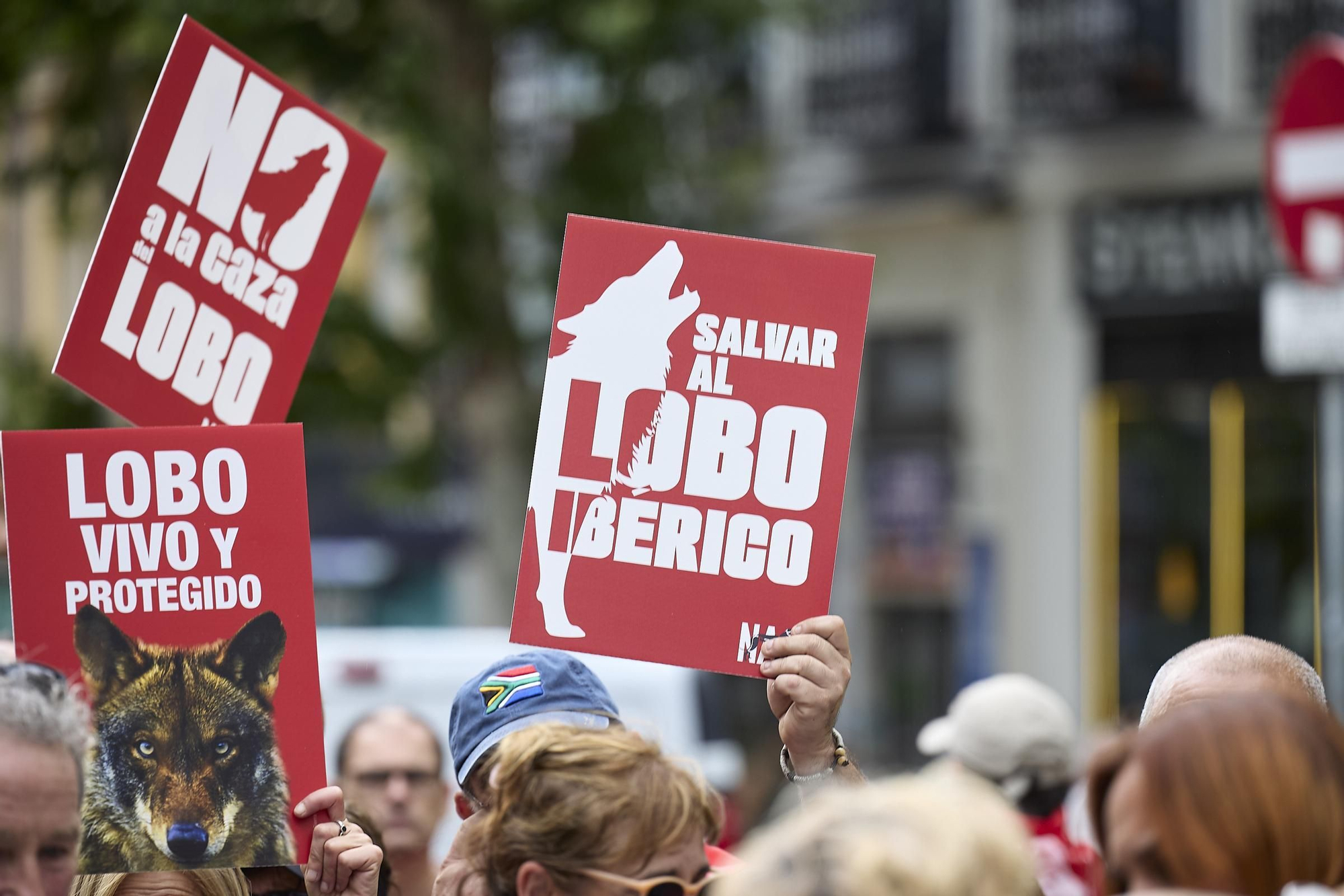 Las imágenes de la manifestación en Madrid por el lobo