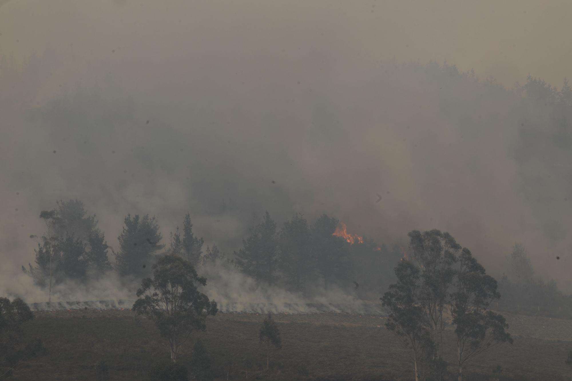 Incendio en la zona de Ques en Piloña