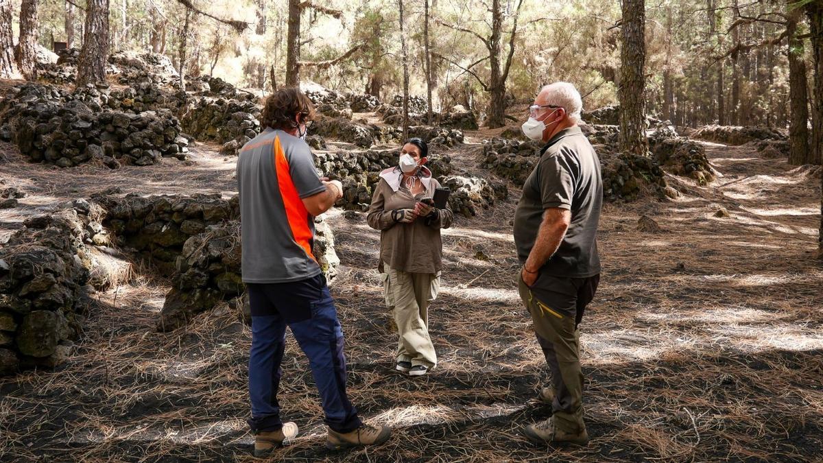 La pluja de cendra del volcà fa perillar un poblat aborigen d’interès arqueològic a La Palma La pluja de cendra del volcà fa perillar un poblat aborigen d’interès arqueològic a La Palma