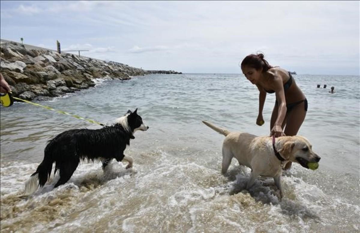 dcaminal35044700 barcelona  10 07 16  sociedad  reportaje sobre la playa de l160811121311
