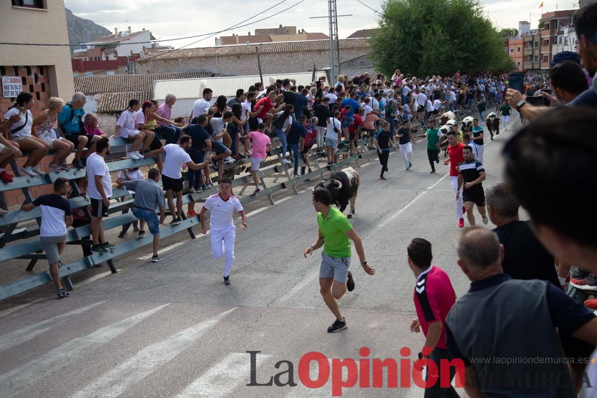 Primer encierro de la Feria del Arroz de Calasparra