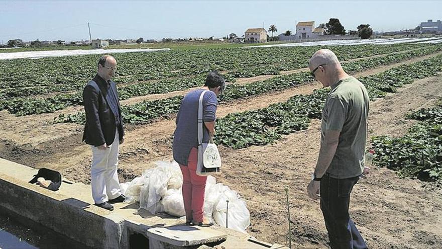 Stop a l’abandó de plàstics agrícoles en els camps