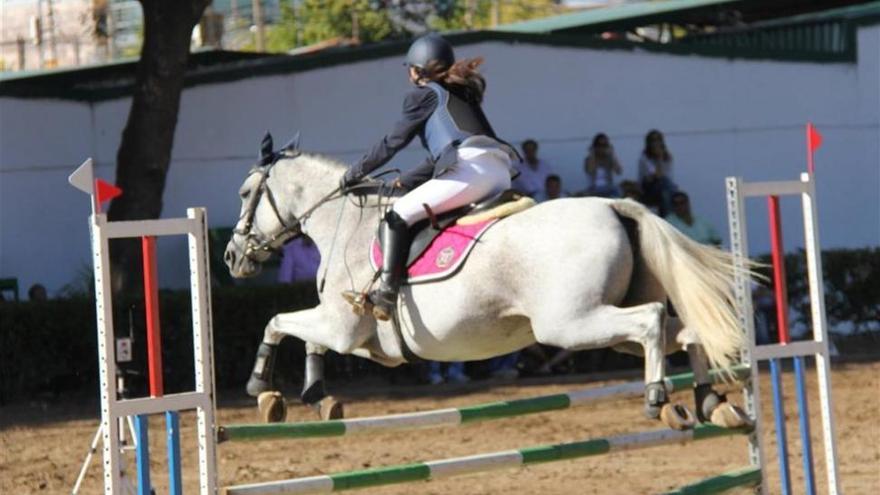 El Ayuntamiento de Zafra oferta 106 puestos de trabajo para el concurso hípico y la feria ganadera