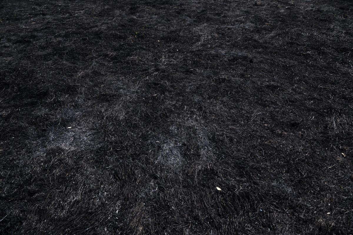 Las imágenes | Diez días de incendio en Jarilla: el adiós al paraíso verde Las imágenes | Diez días de incendio en Jarilla: el adiós al paraíso verde