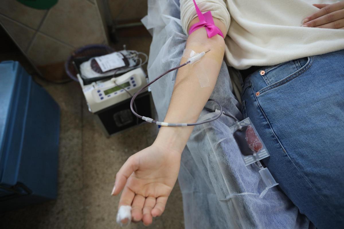 Imagen del transcurso de una donación de sangre.