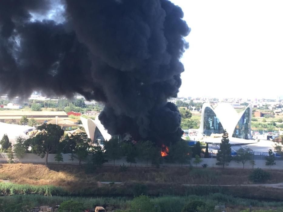 Incendio en l'Oceanogràfic de València