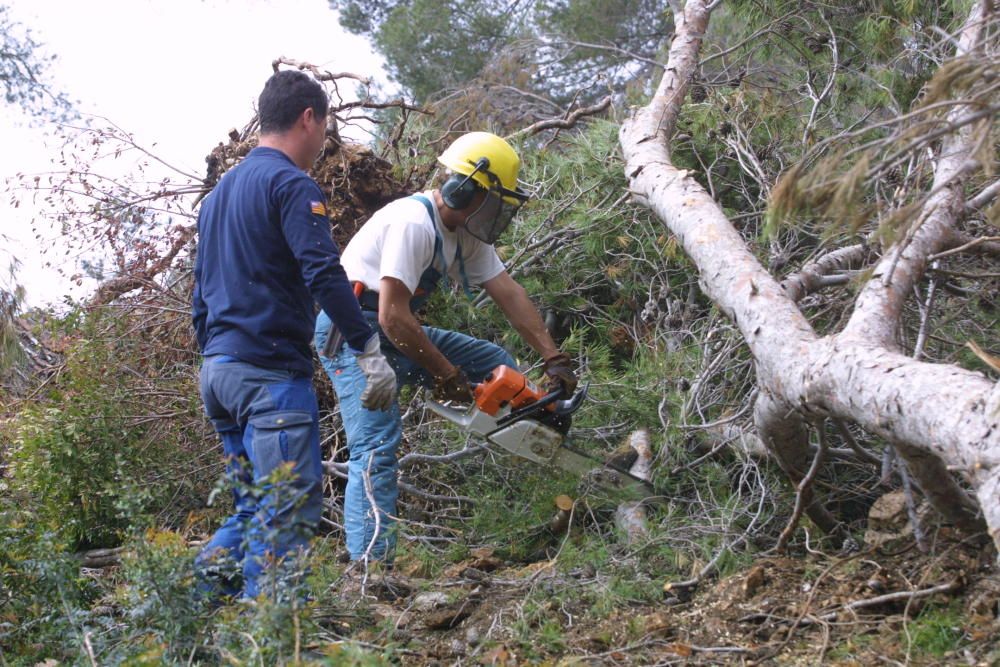 15 años del peor temporal de Mallorca (noviembre de 2001)