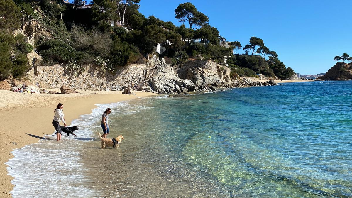 La platja per a gossos de Calonge i Platja d'Aro