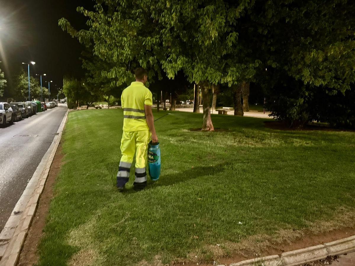 El tratamiento se aplica sobre el césped-