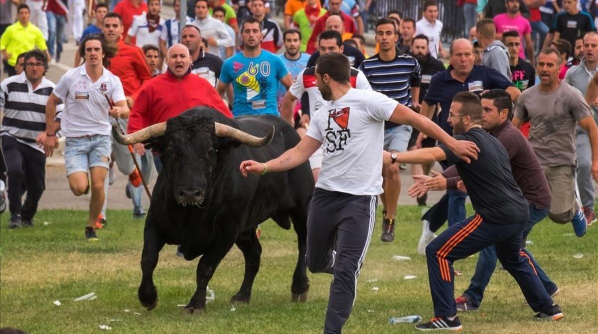 fcasals35507500 festival goers run past a bull during the  toro de la pena  160913132210