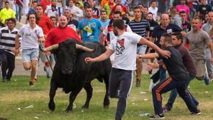 fcasals35507500 festival goers run past a bull during the  toro de la pena  160913132210