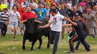 Encierro alternativo al Toro de la Vega 2016 de Tordesillas: así lo hemos contado