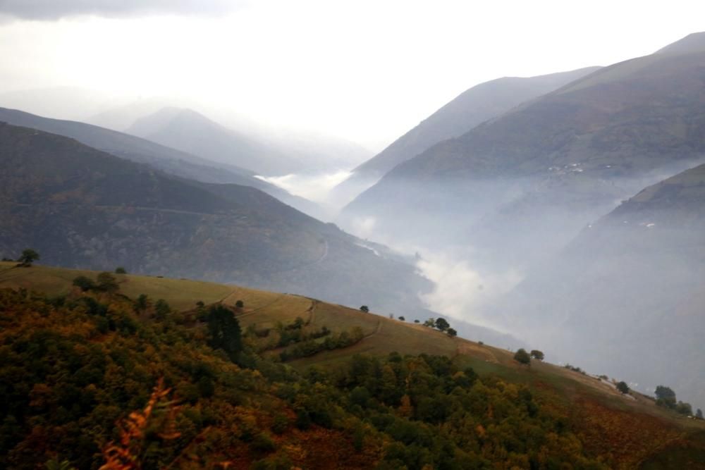 Cangas del Narcea tras los incendios