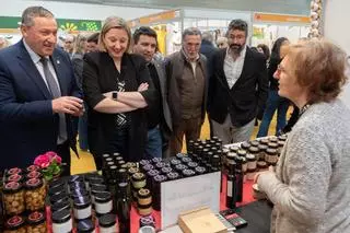 Novedosos productos a base de miel para conquistar todos los paladares en Zamora