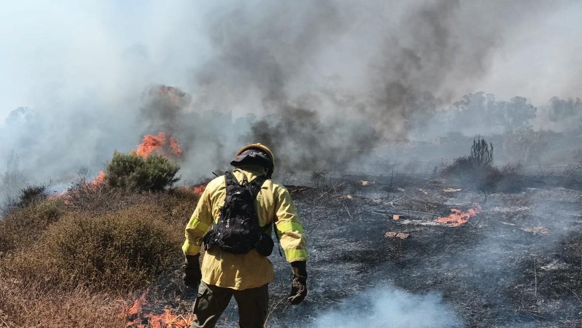 Bombero forestal del Plan Infoca trabaja en un incendio.