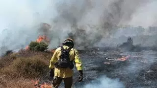 Estabilizados los dos incendios forestales de Bonares