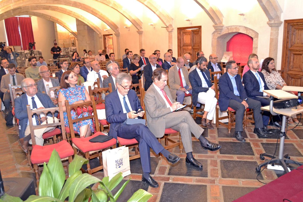 Los asistentes al seminario 'Senior-Extremadura: dos entornos de alto potencial amigables y colaborativos'.