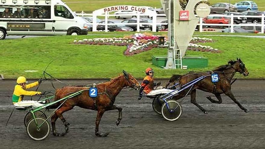 Guillem Roig celebra a las riendas de Bicolore (15) su victoria de ayer en París-Vincennes.