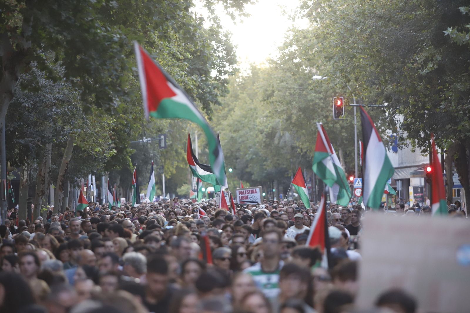 La manifestación por Palestina, en imágenes