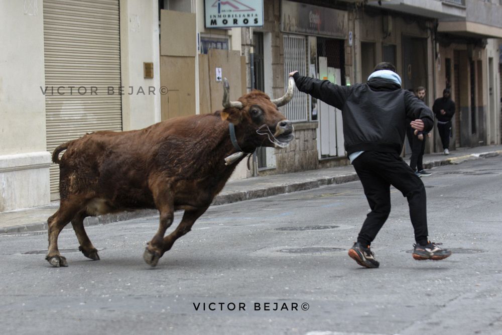 Sant Antoni en el Camp de Morvedre