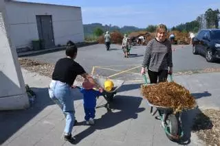 A Caracola necesita una trituradora