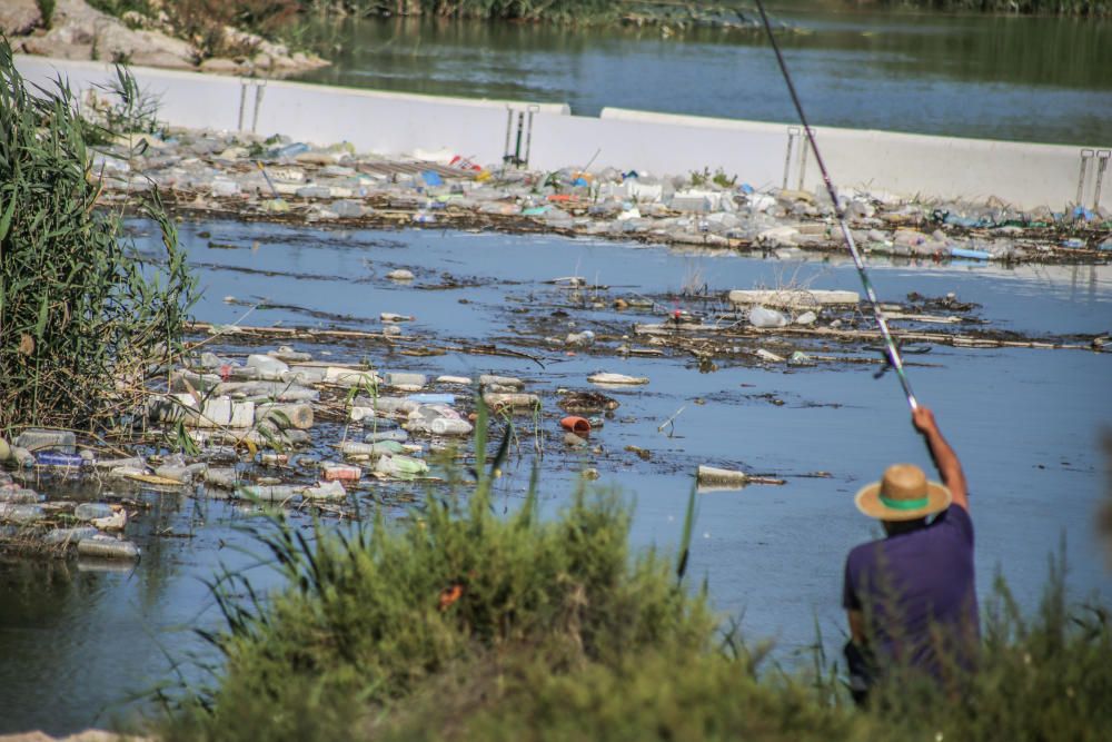 Aspecto que presenta ahora la desembocadura del Segura con miles de plásticos flotantes