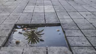 Arenales demanda la reforma de sus plazas en Las Palmas de Gran Canaria