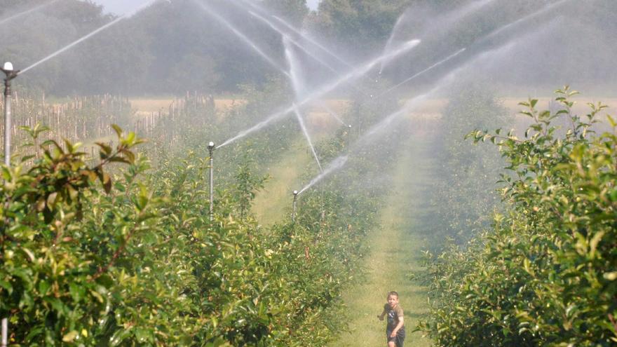 Más de 4.500 agricultores de la Región reciben 4,7 millones para compensar la subida del precio de los fertilizantes