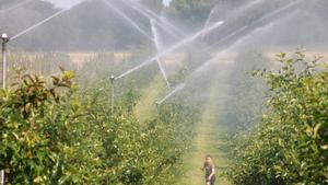 Los agricultores españoles se aferran a la tecnología ante la escasez de agua