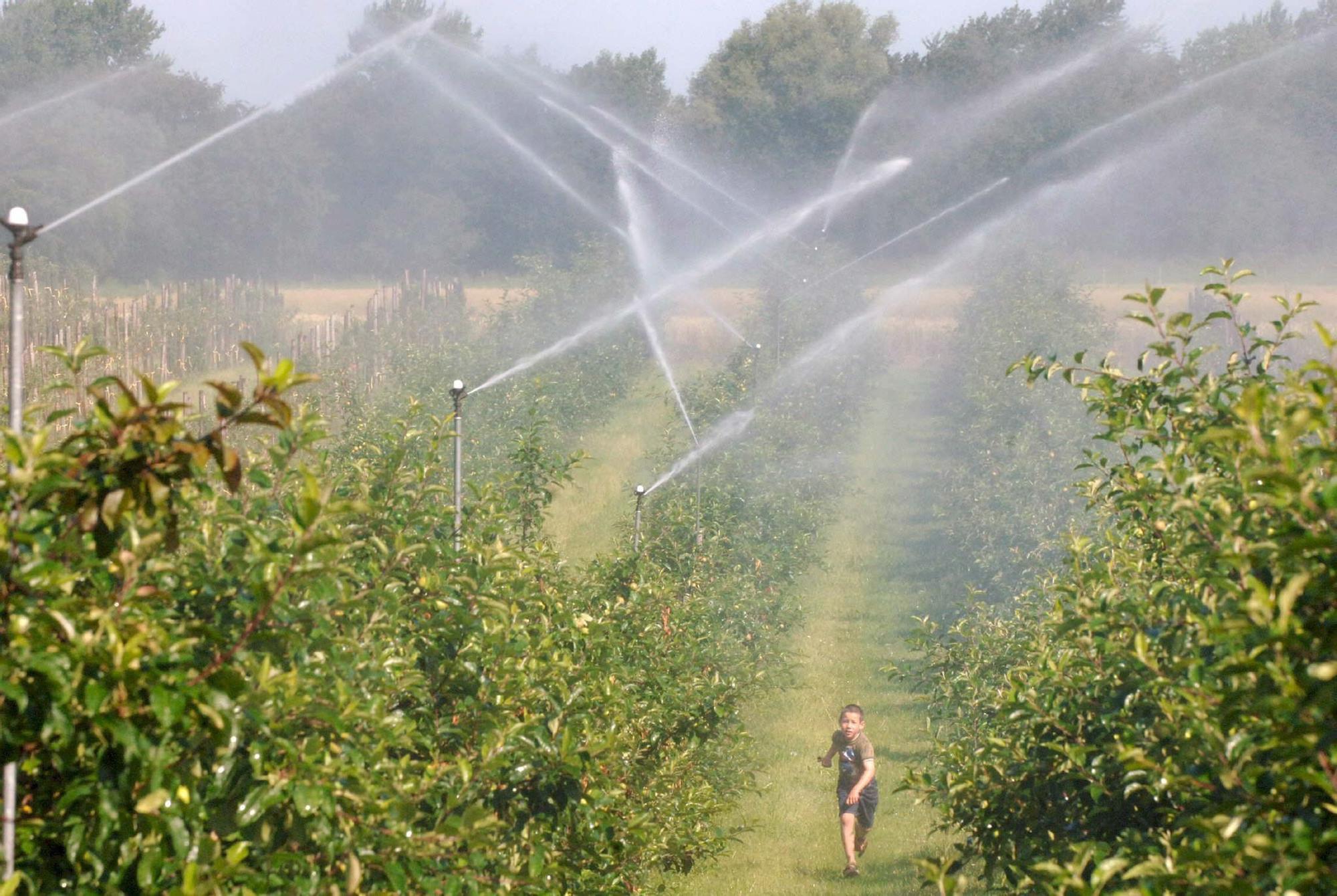 Los agricultores españoles se aferran a la tecnología ante la escasez de agua